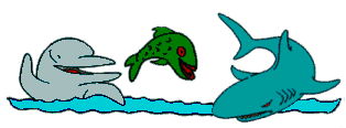 golfinho, carpa e tubarão