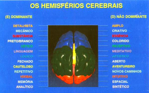 hemisférios cerebrais